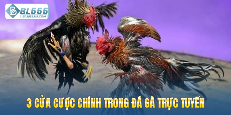 3 cửa cược chính trong đá gà trực tuyến