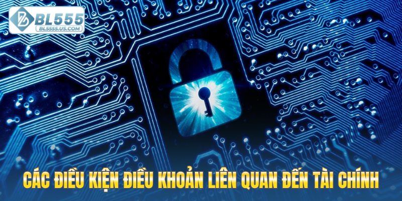 Các điều kiện điều khoản liên quan đến tài chính