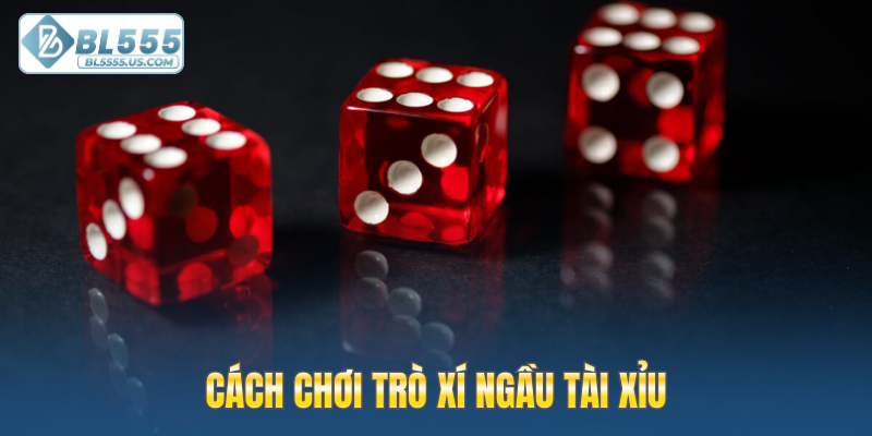 Cách chơi trò xí ngầu tài xỉu