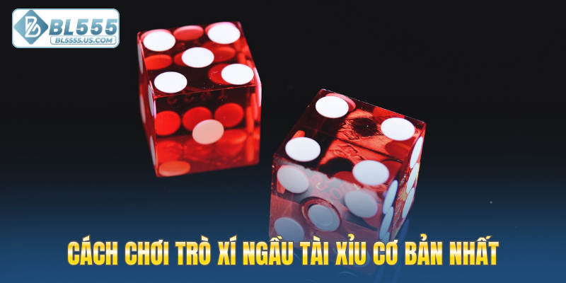 Cách chơi trò xí ngầu tài xỉu cơ bản nhất