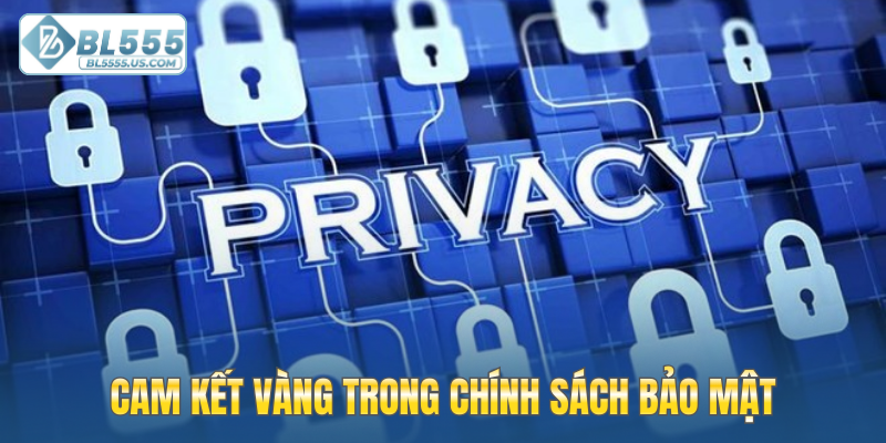 Cam kết vàng trong chính sách bảo mật