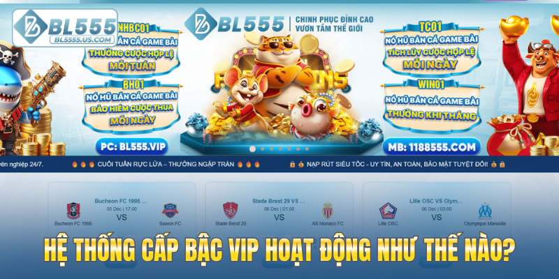 Hệ thống cấp bậc VIP hoạt động như thế nào?