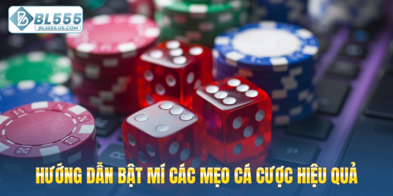 Hướng dẫn bật mí các mẹo cá cược hiệu quả
