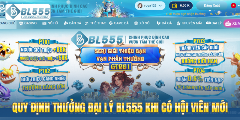 Quy định thưởng đại lý BL555 khi có hội viên mới